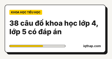 38 câu đố khoa học lớp 4, lớp 5 có đáp án