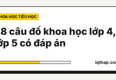38 câu đố khoa học lớp 4, lớp 5 có đáp án