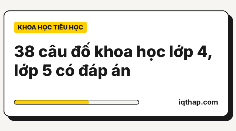 38 câu đố khoa học lớp 4, lớp 5 có đáp án