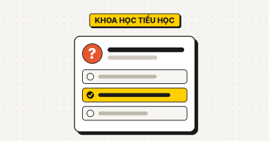 38 câu đố khoa học lớp 4, lớp 5 có đáp án