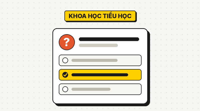 38 câu đố khoa học lớp 4, lớp 5 có đáp án
