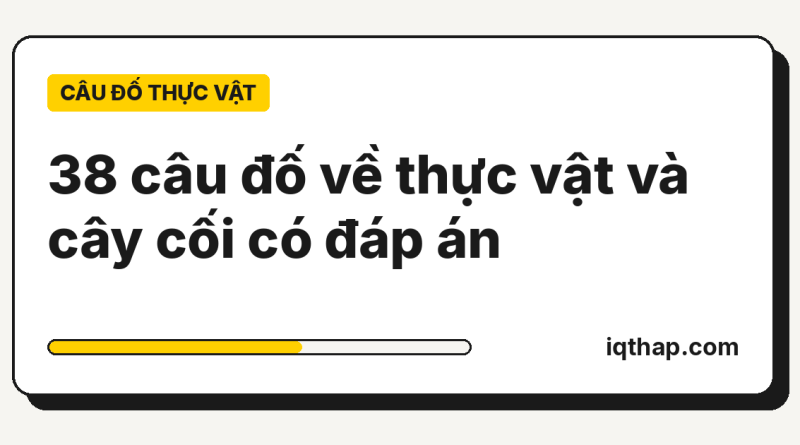 38 câu đố về thực vật và cây cối có đáp án
