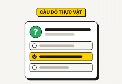 38 câu đố về thực vật và cây cối có đáp án