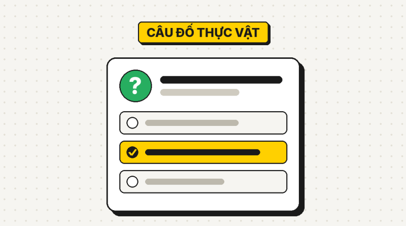 38 câu đố về thực vật và cây cối có đáp án