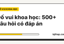 Đố vui khoa học: tổng hợp 500+ câu hỏi có đáp án theo từng môn