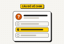 44 câu đố về chim có đáp án