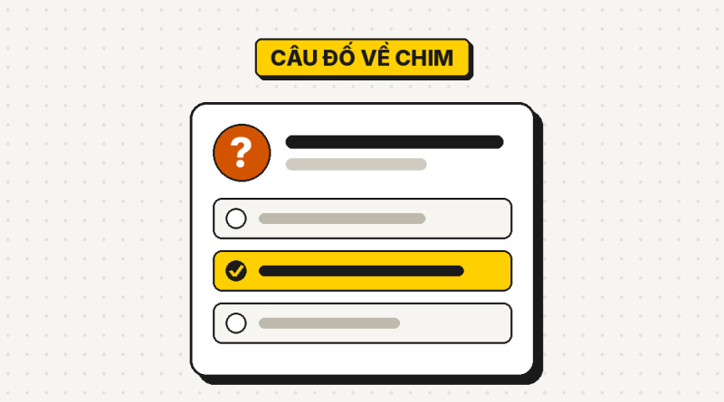 44 câu đố về chim có đáp án