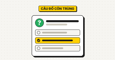 47 câu đố về côn trùng có đáp án