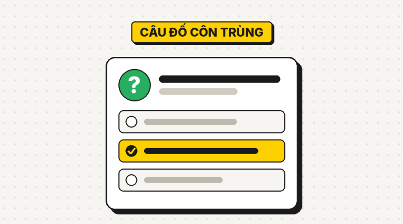 47 câu đố về côn trùng có đáp án 47 câu đố về côn trùng có đáp án